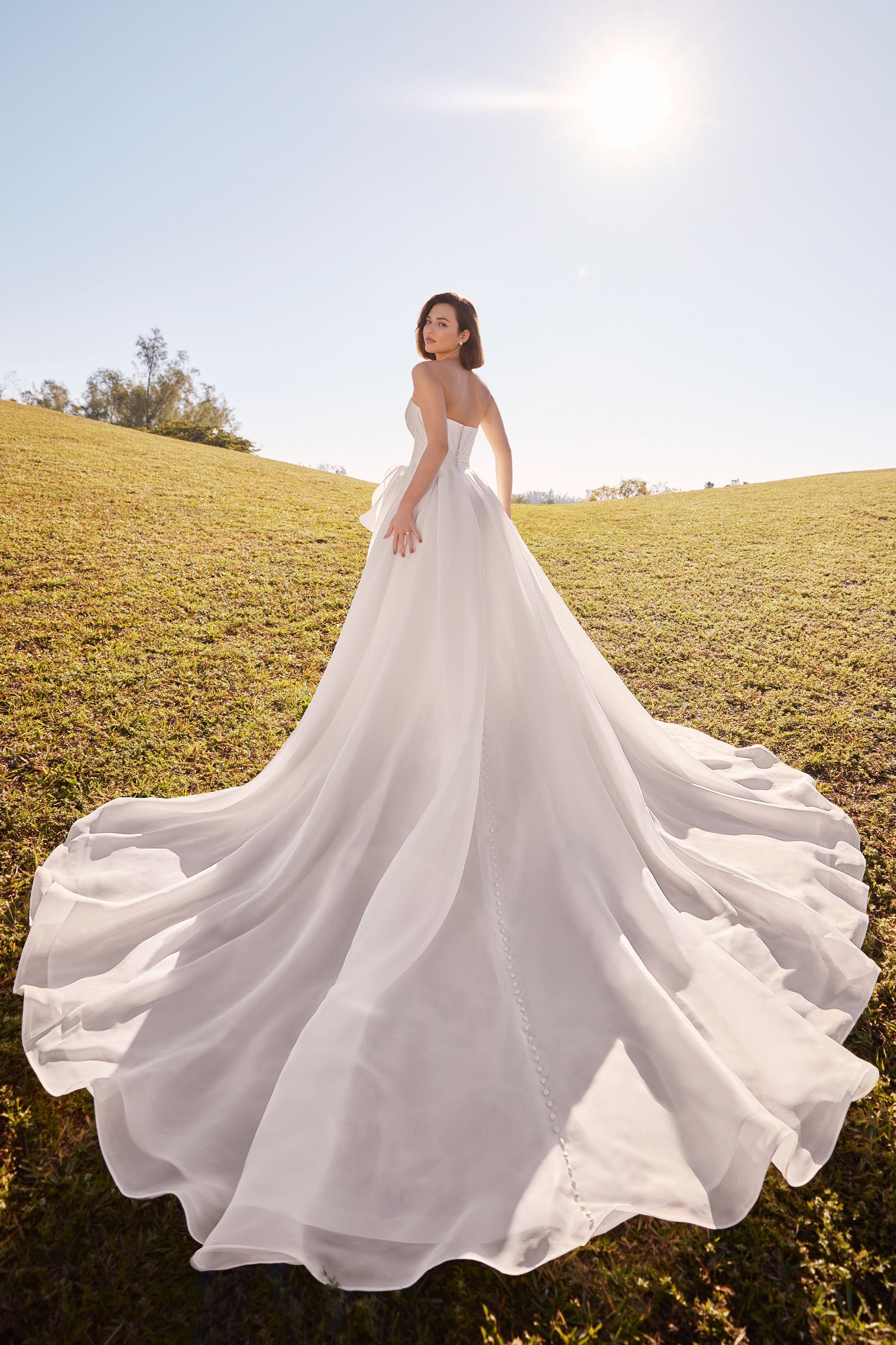 Martin Thornburg Wedding Dress Martin Thornburg: MT3201 - Delphi