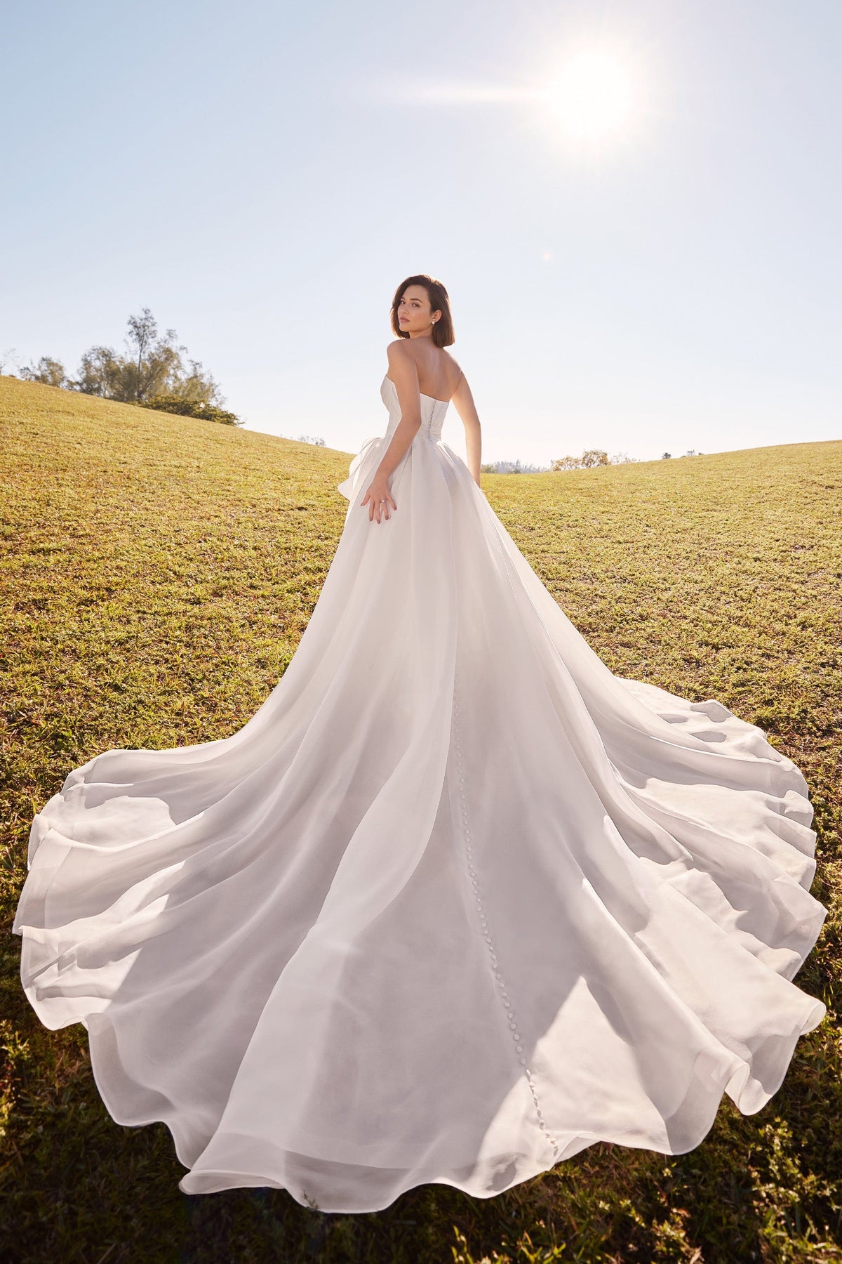 Martin Thornburg Wedding Dress Martin Thornburg: MT3201 - Delphi