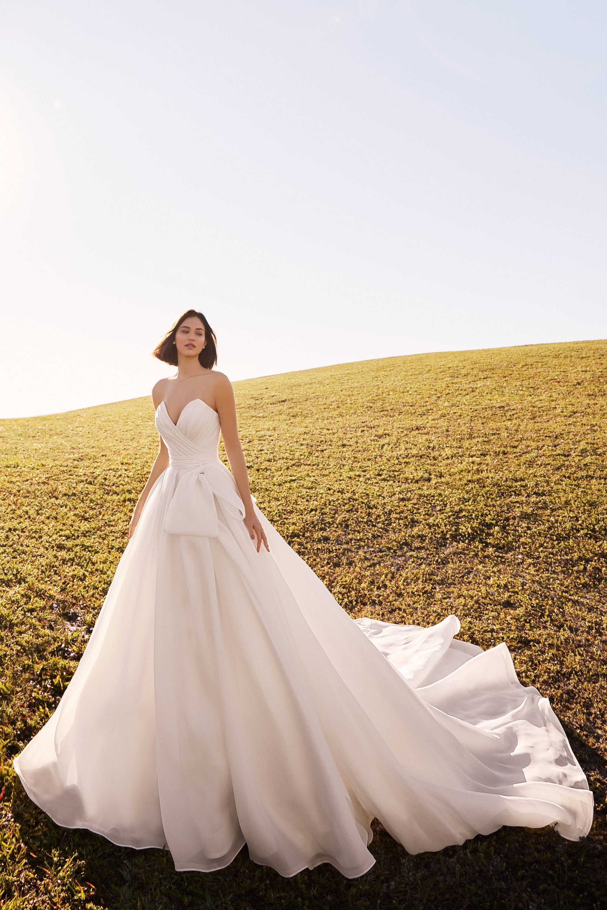 Martin Thornburg Wedding Dress Martin Thornburg: MT3201 - Delphi