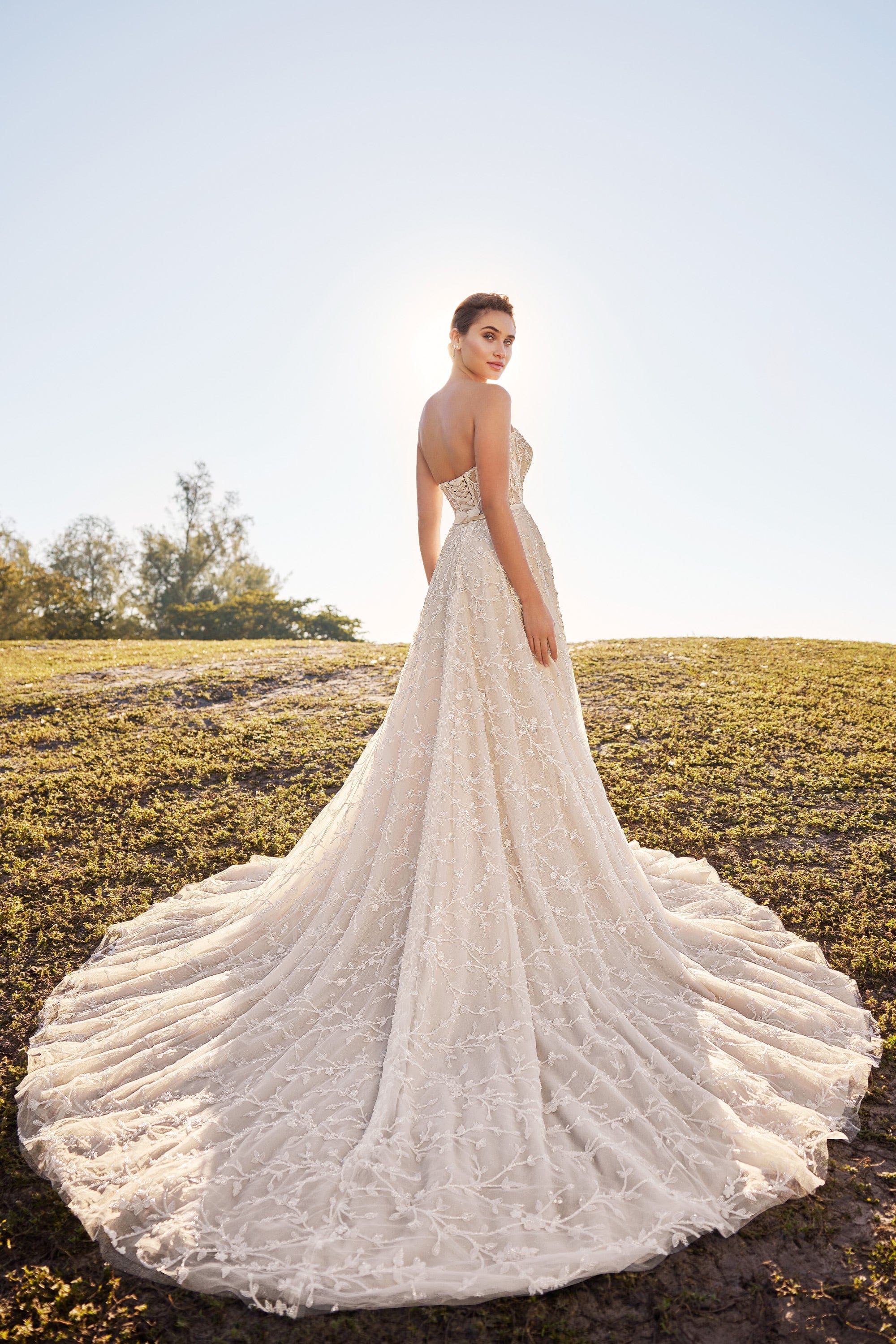 Martin Thornburg Wedding Dress Martin Thornburg: MT3204 - Arden
