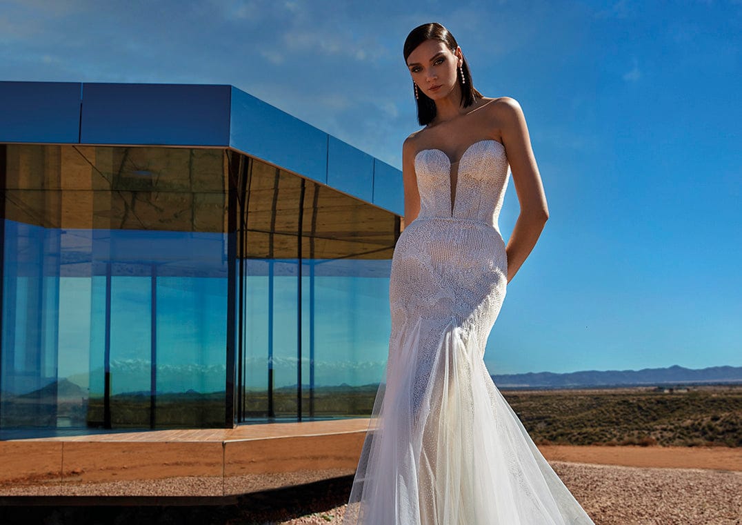 Pronovias Privee Wedding Dress Pronovias Privee: Albite