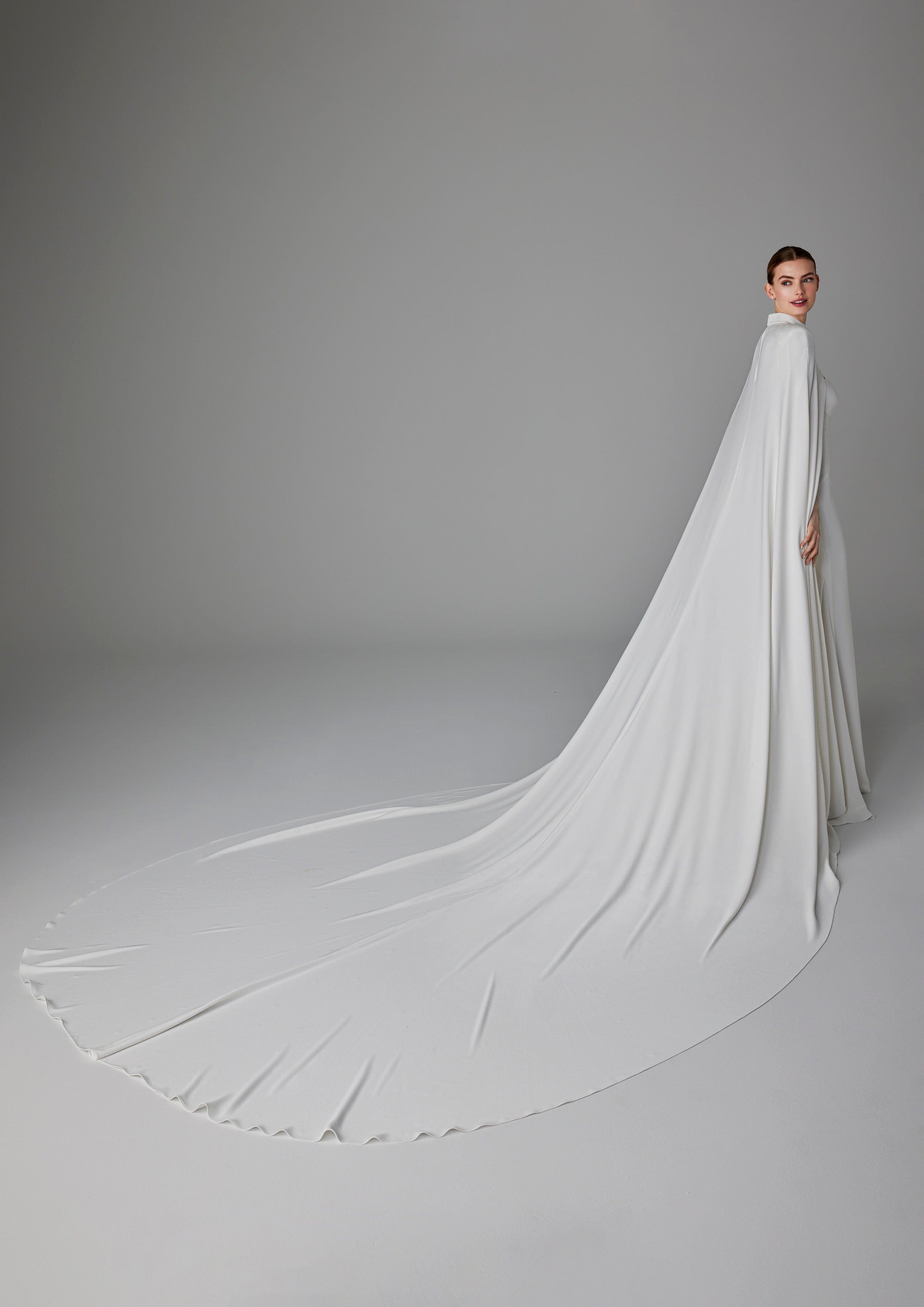 Pronovias Wedding Dress Pronovias: Alexandrine