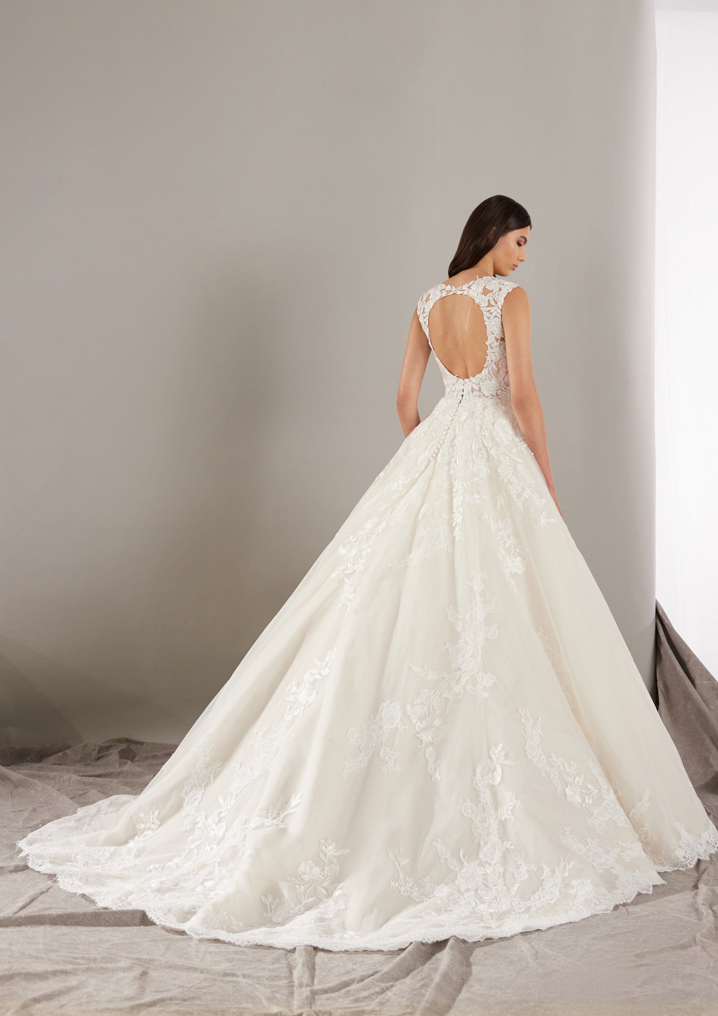 Pronovias Wedding Dress Pronovias: Ever