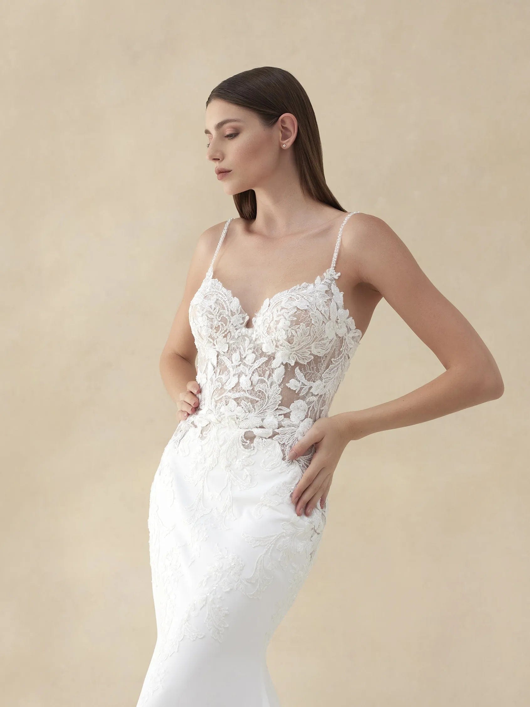 Pronovias Wedding Dress Pronovias: Hawthorn