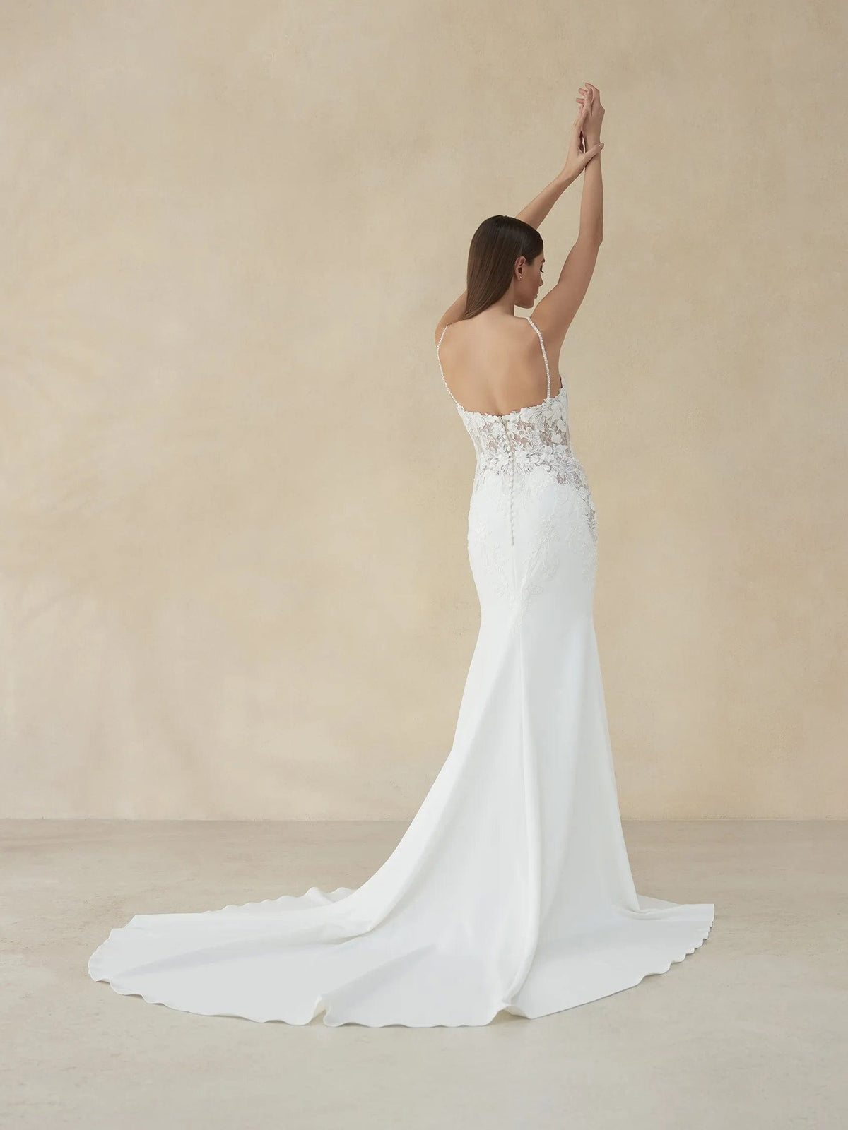 Pronovias Wedding Dress Pronovias: Hawthorn