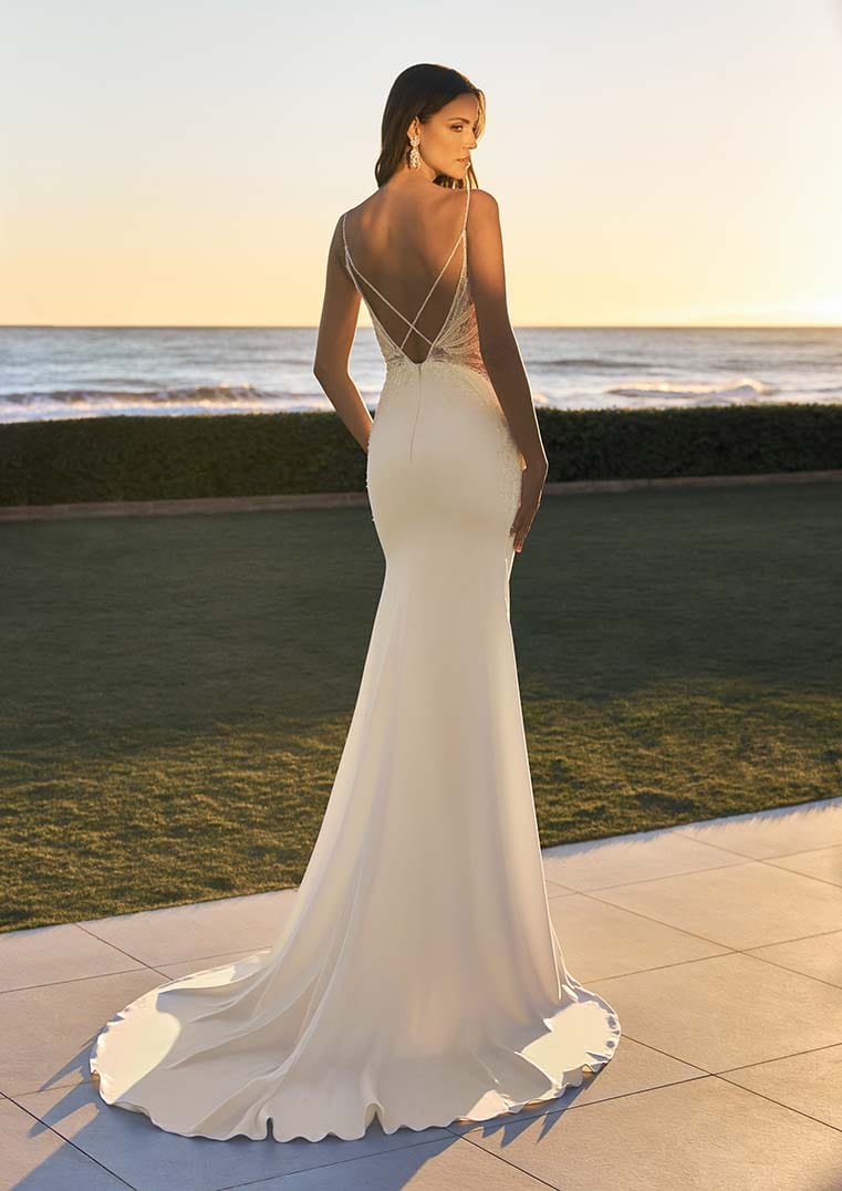 Pronovias Wedding Dress Pronovias: Iris