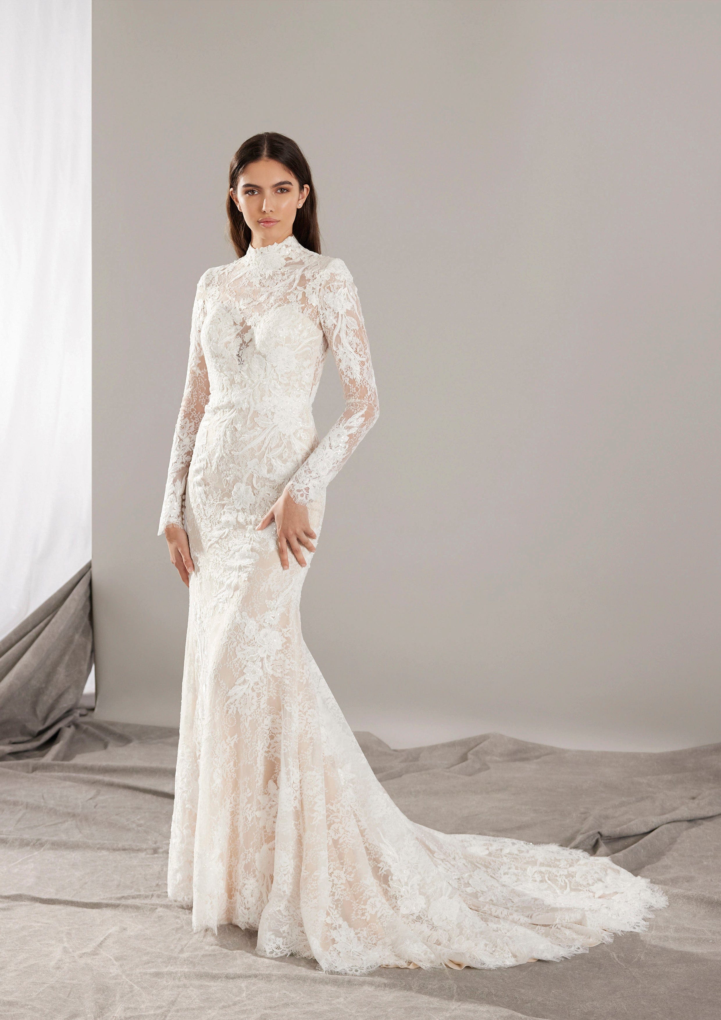 Pronovias Wedding Dress Pronovias: Leith