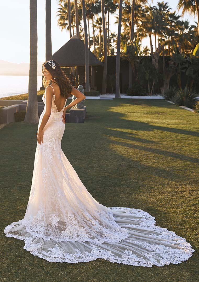 Pronovias Wedding Dress Pronovias: Shani