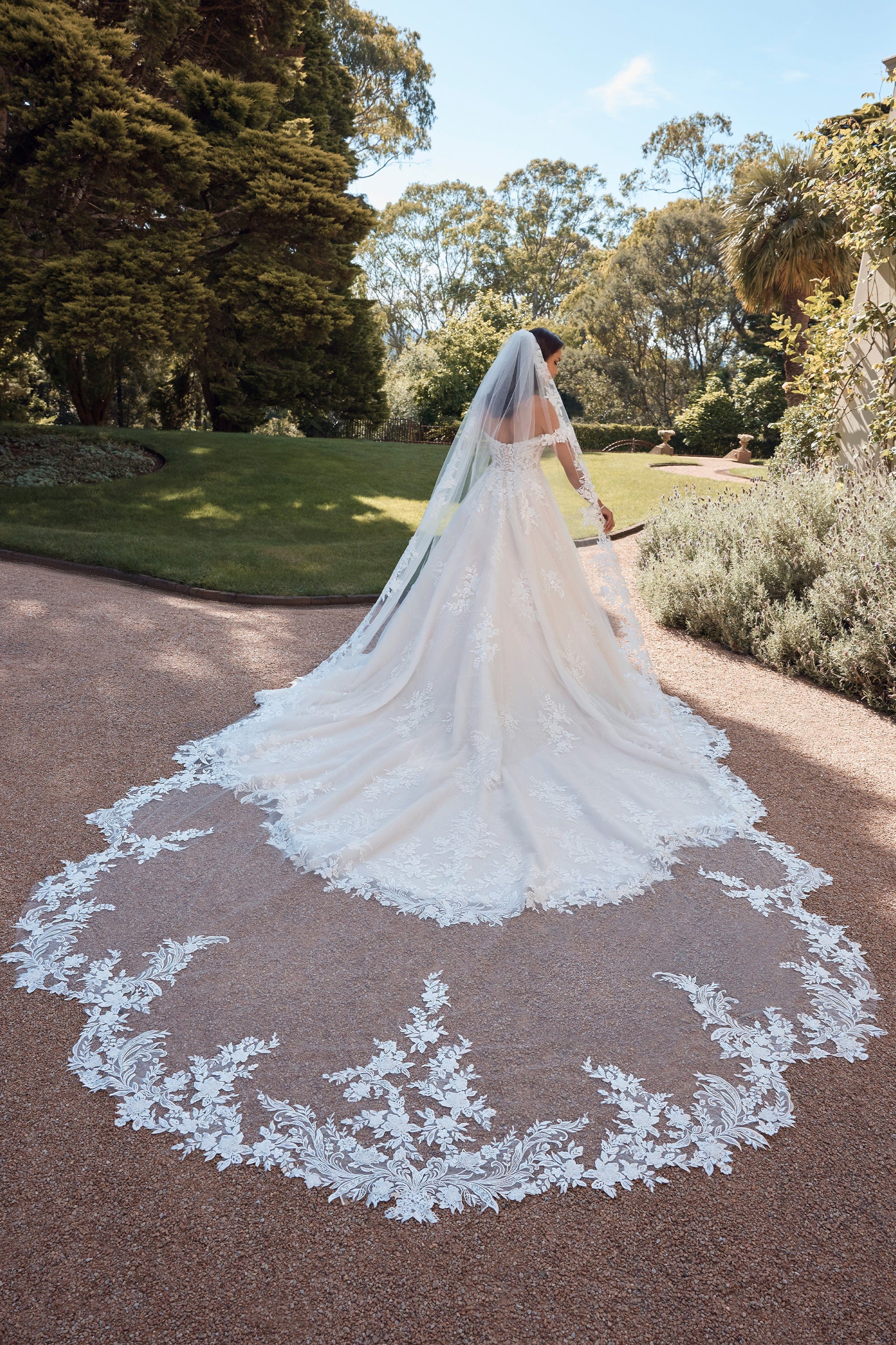 Sophia Tolli Accessories Sophia Tolli: ST625VEIL