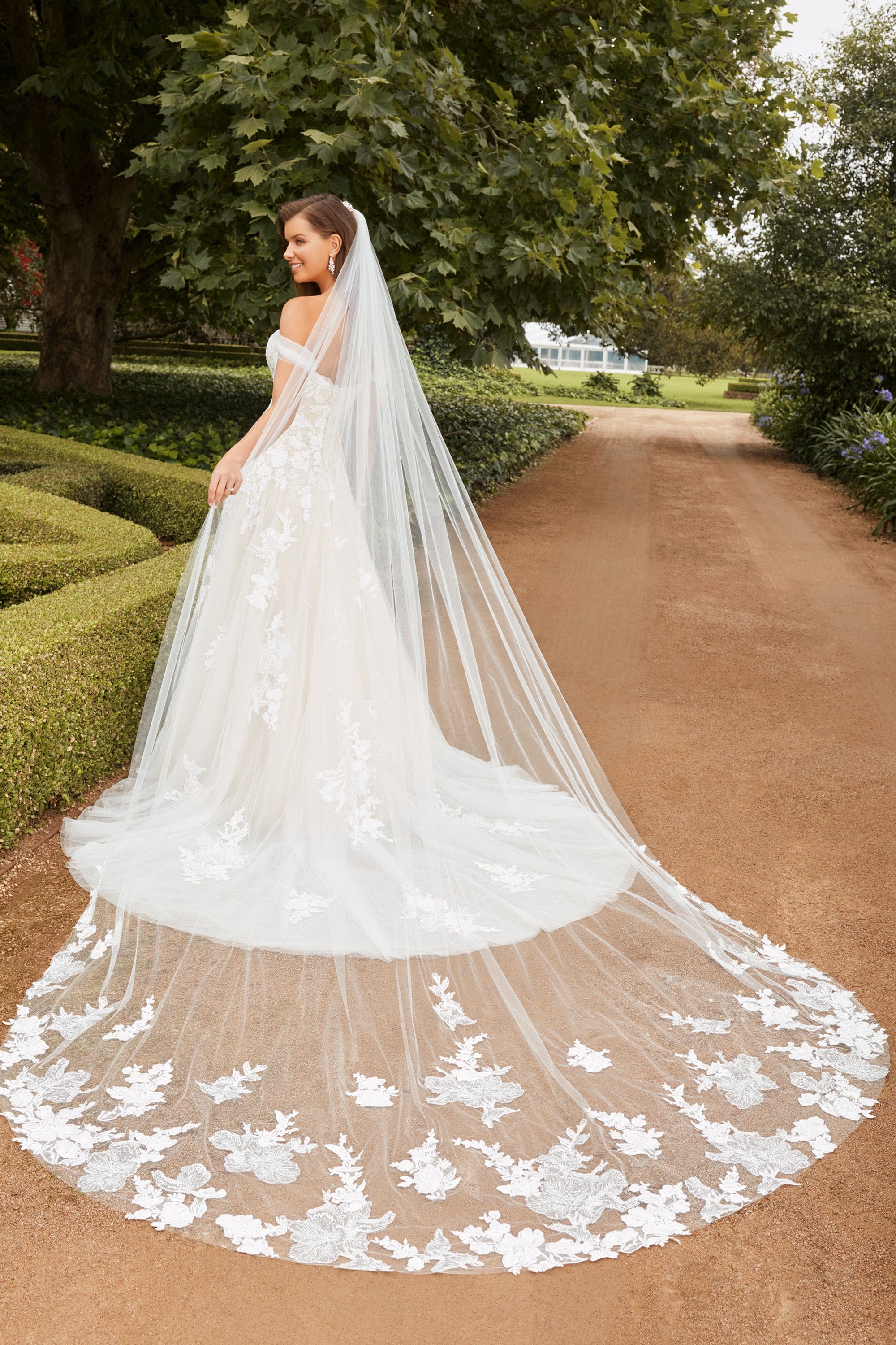 Sophia Tolli Accessories Ivory Sophia Tolli: Y22265VEIL