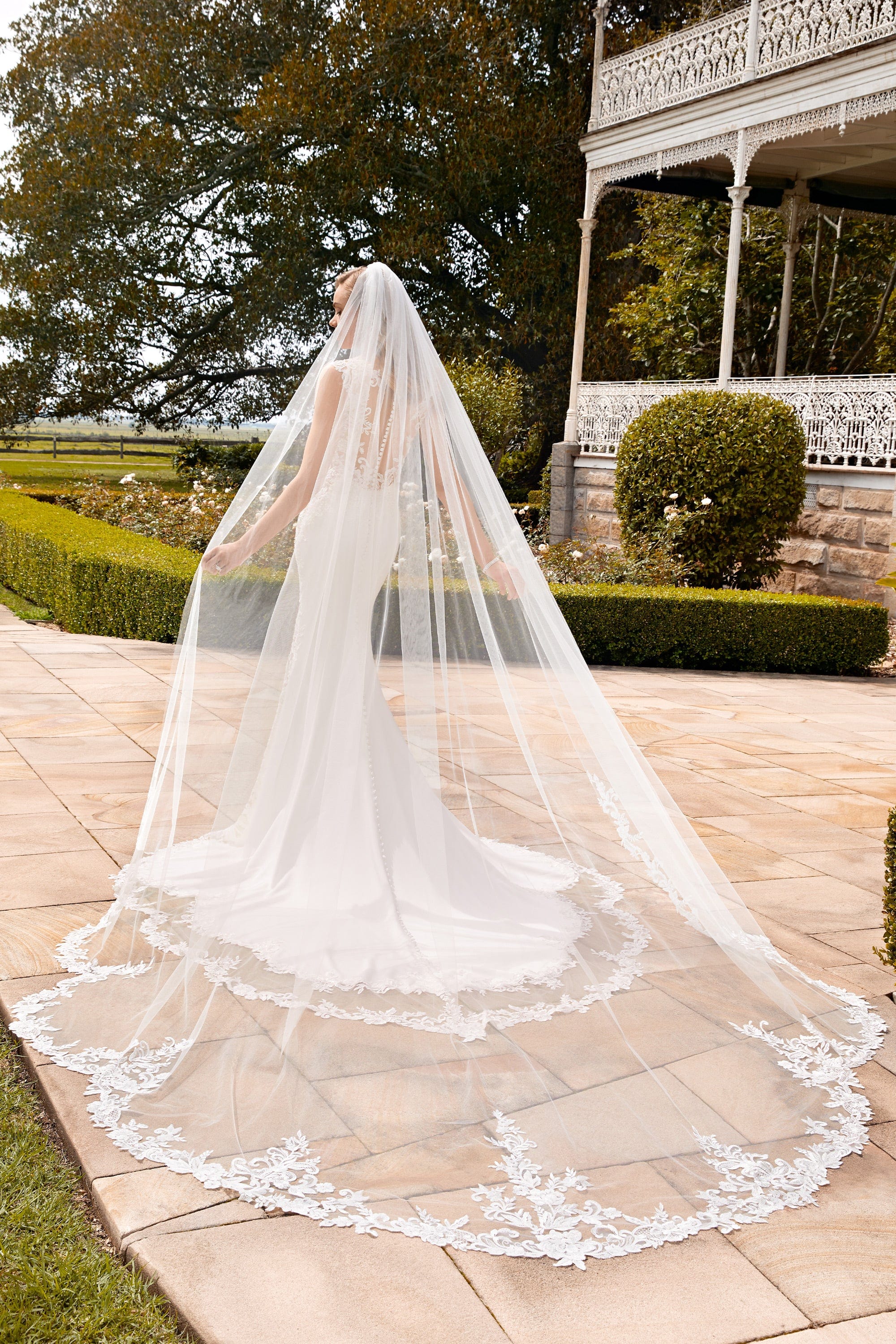 Sophia Tolli Accessories Ivory Sophia Tolli: Y22266VEIL