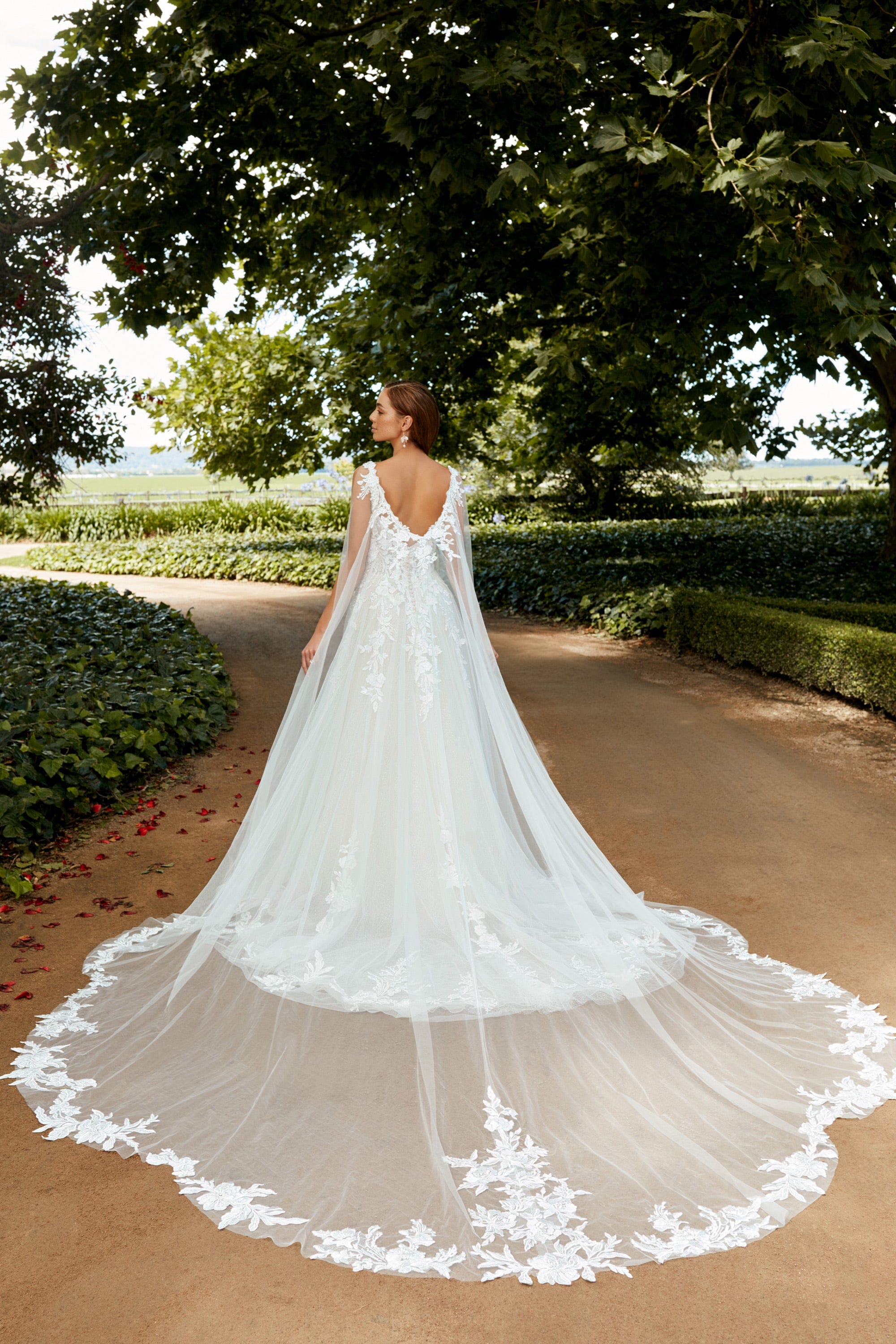 Sophia Tolli Accessories Sophia Tolli: Y22267CAPE