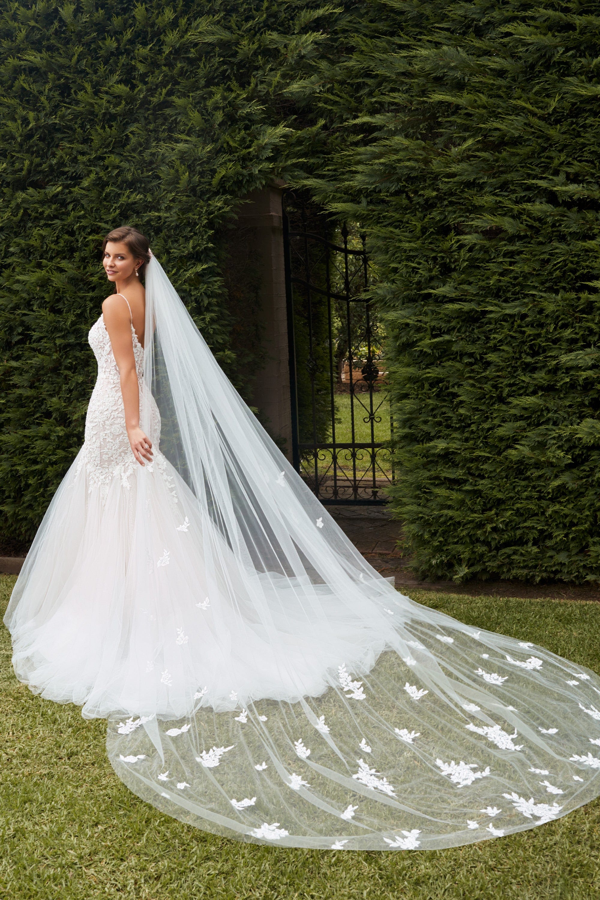Sophia Tolli Accessories Ivory Sophia Tolli: Y22268VEIL