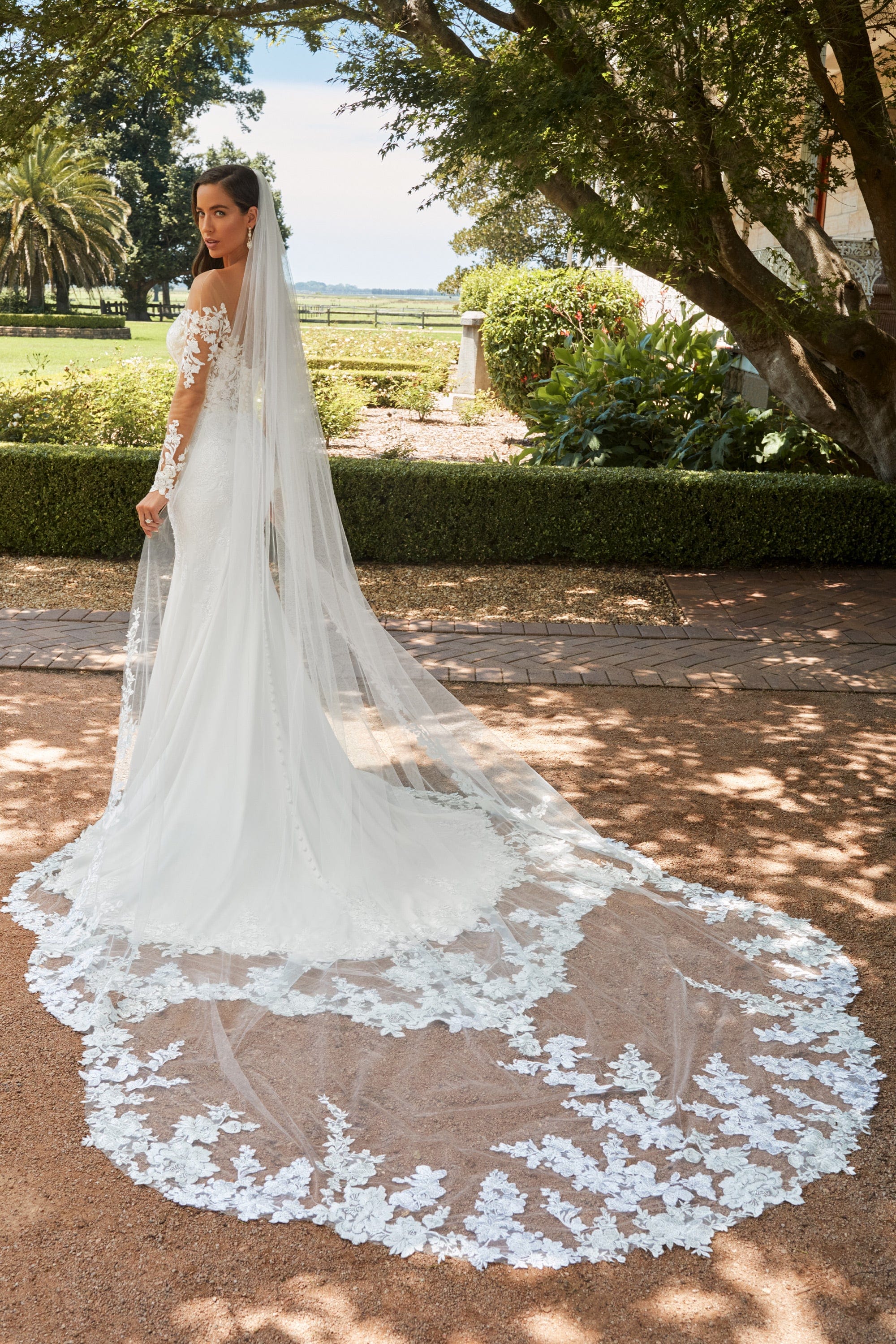 Sophia Tolli Accessories Ivory Sophia Tolli: Y22275VEIL