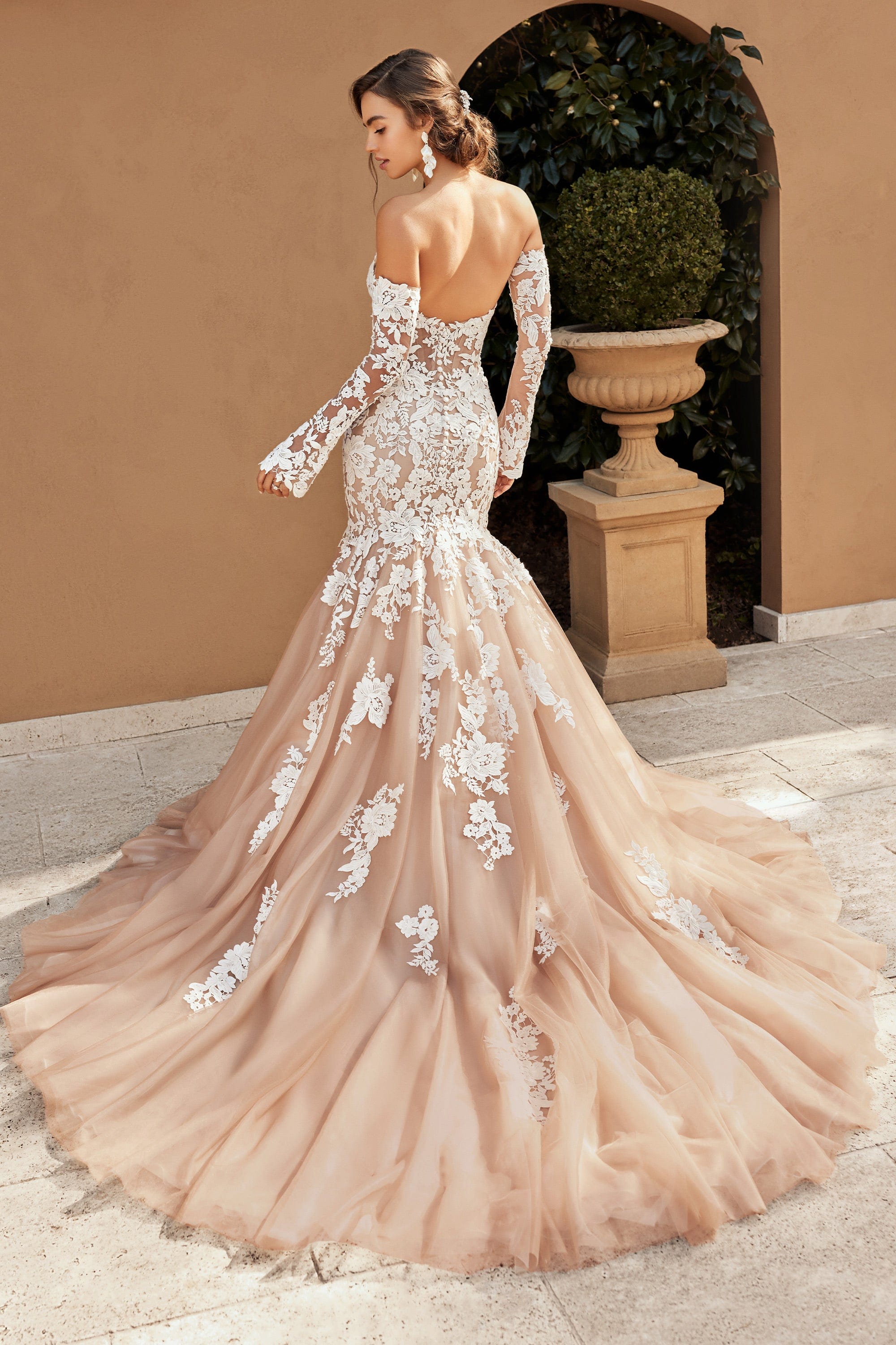 Sophia Tolli Accessories Sophia Tolli: Y3116SL