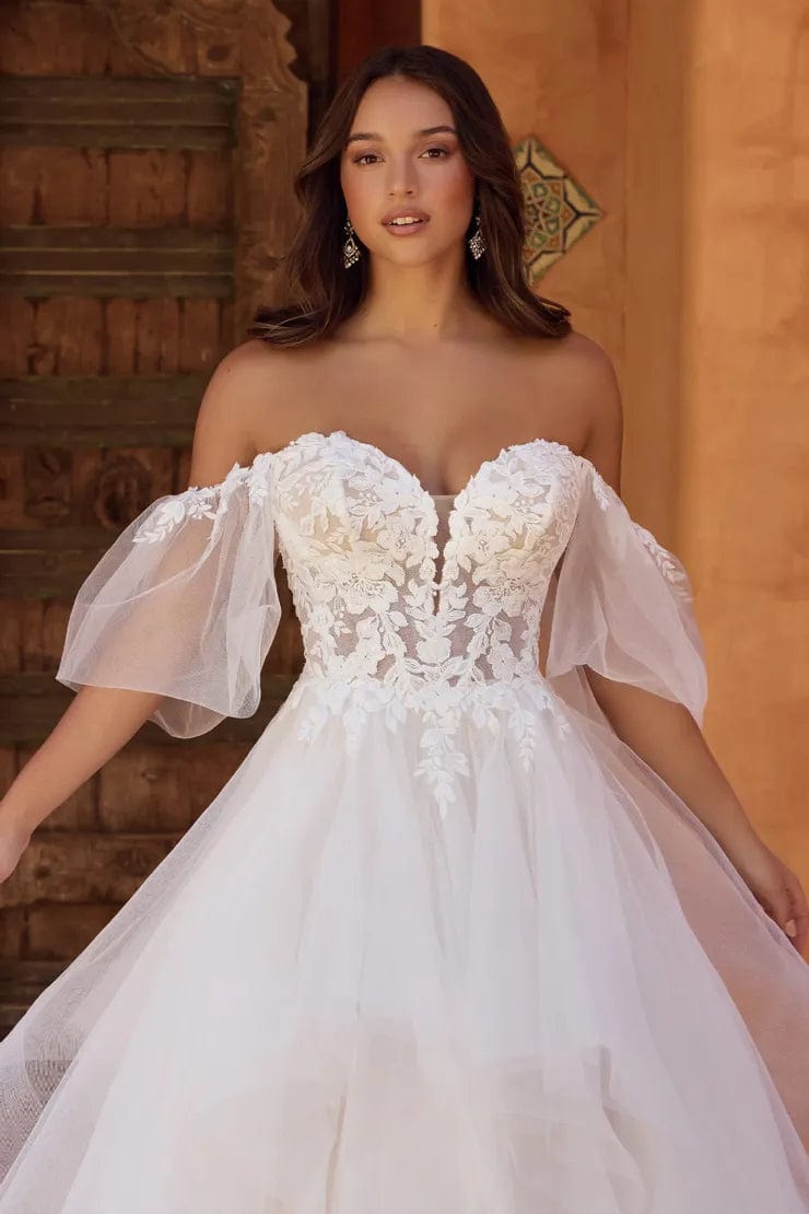 Sophia Tolli Accessories Sophia Tolli: Y3131SL