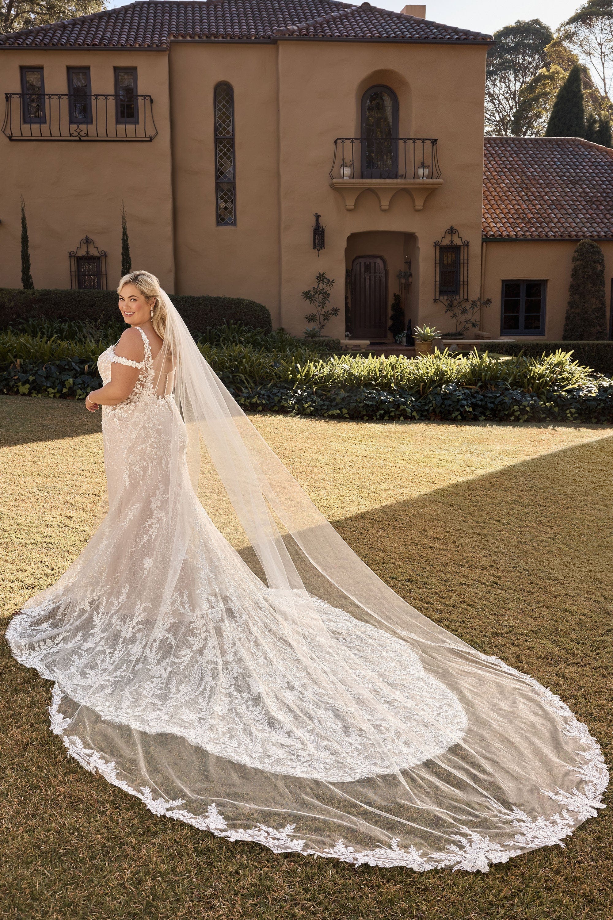 Sophia Tolli Accessories Sophia Tolli: Y3140VEIL