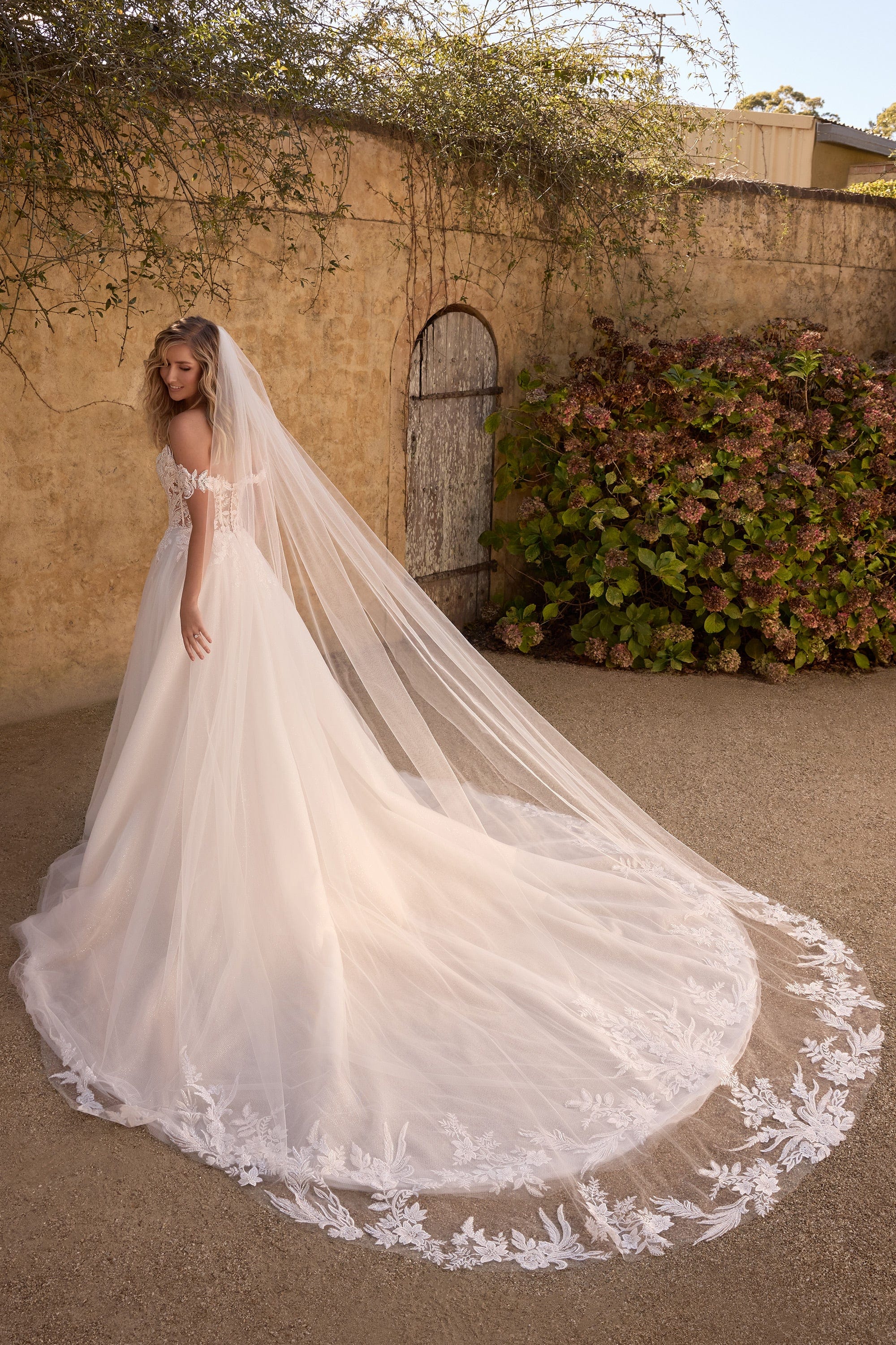 Sophia Tolli Accessories Sophia Tolli: Y3157VEIL