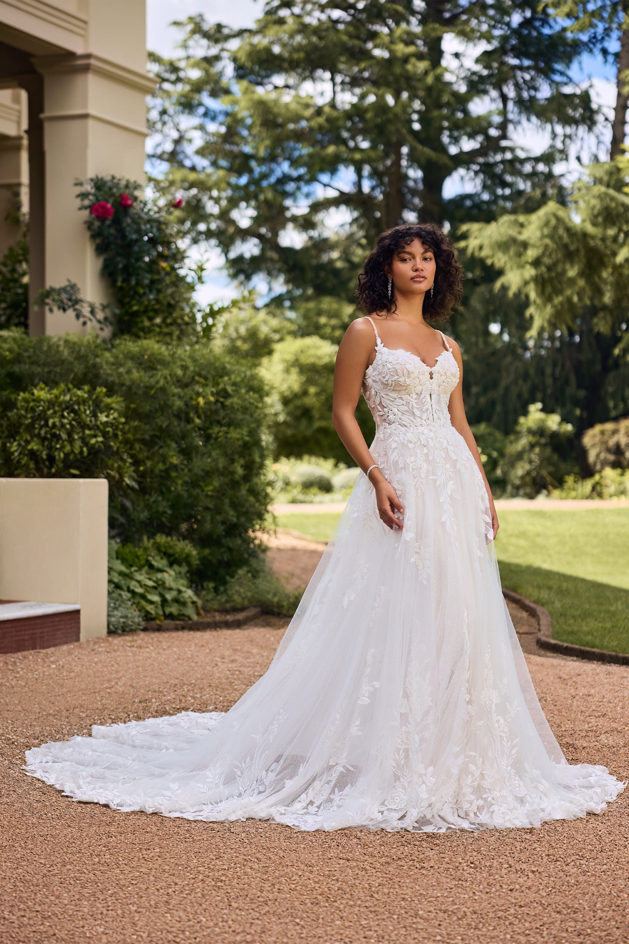 Wedding dresses hotsell by sophia tolli