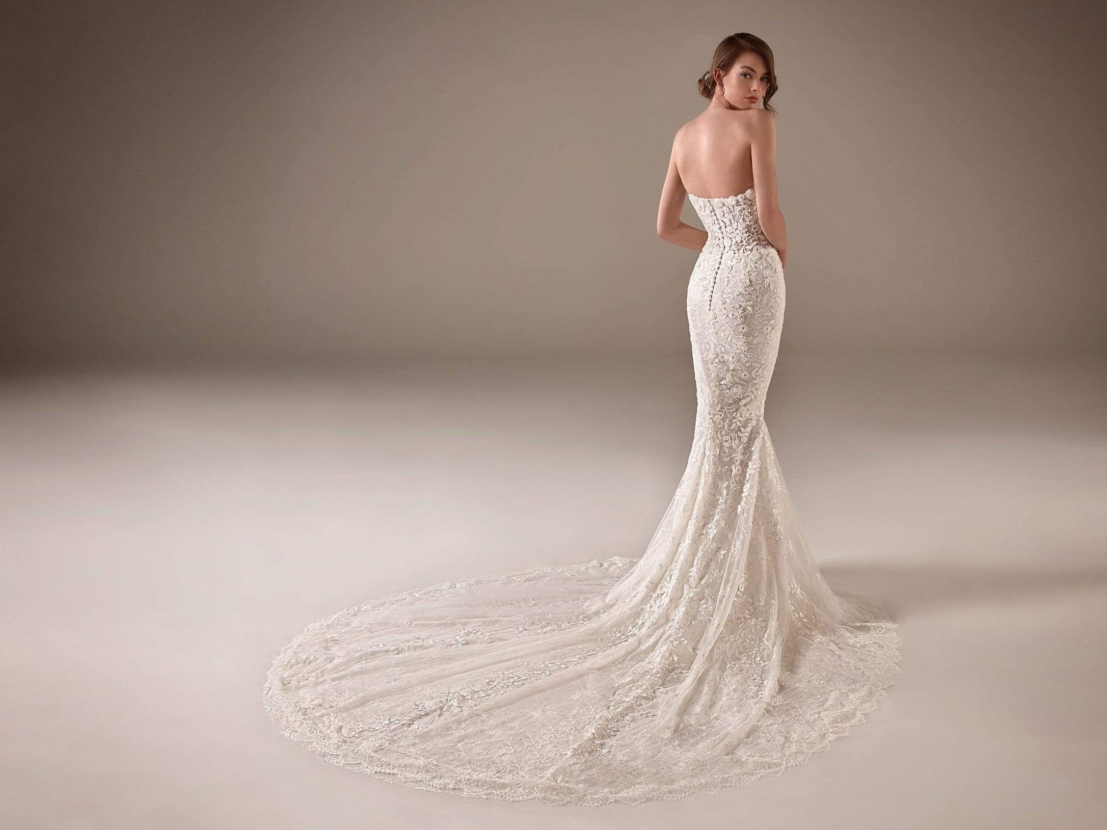 Pronovias Privee Wedding Dress Pronovias Privee: Jameela
