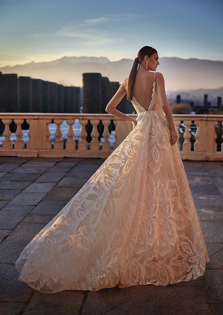 Pronovias Privee Wedding Dress Pronovias Privee: Orlanda