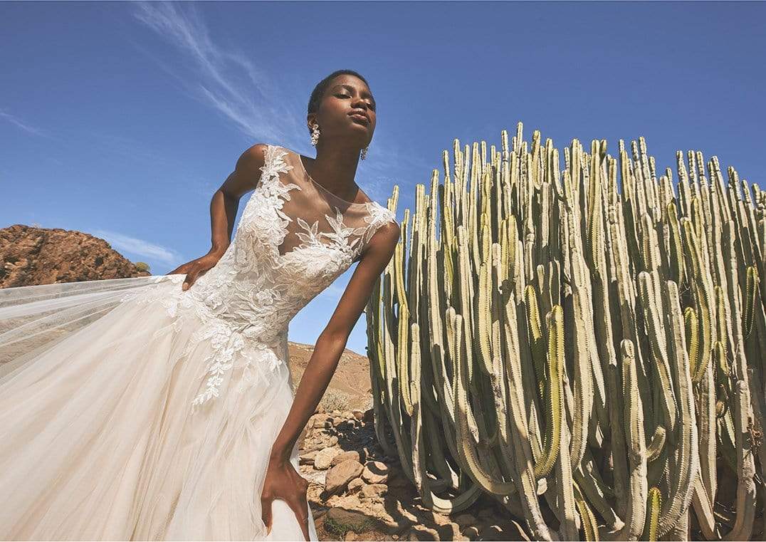 Pronovias Wedding Dress Pronovias: Doolin