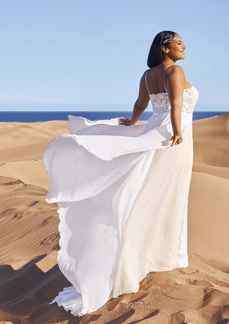 Pronovias Wedding Dress Pronovias: Goblin