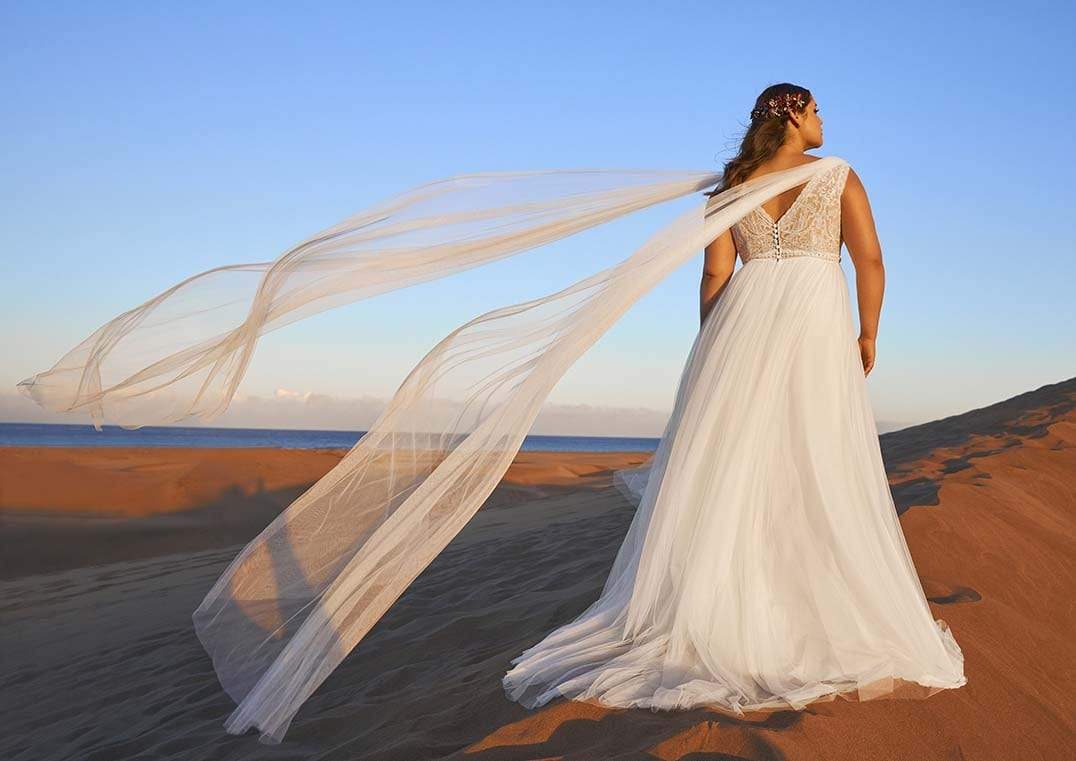 Pronovias Wedding Dress Pronovias: Hangson