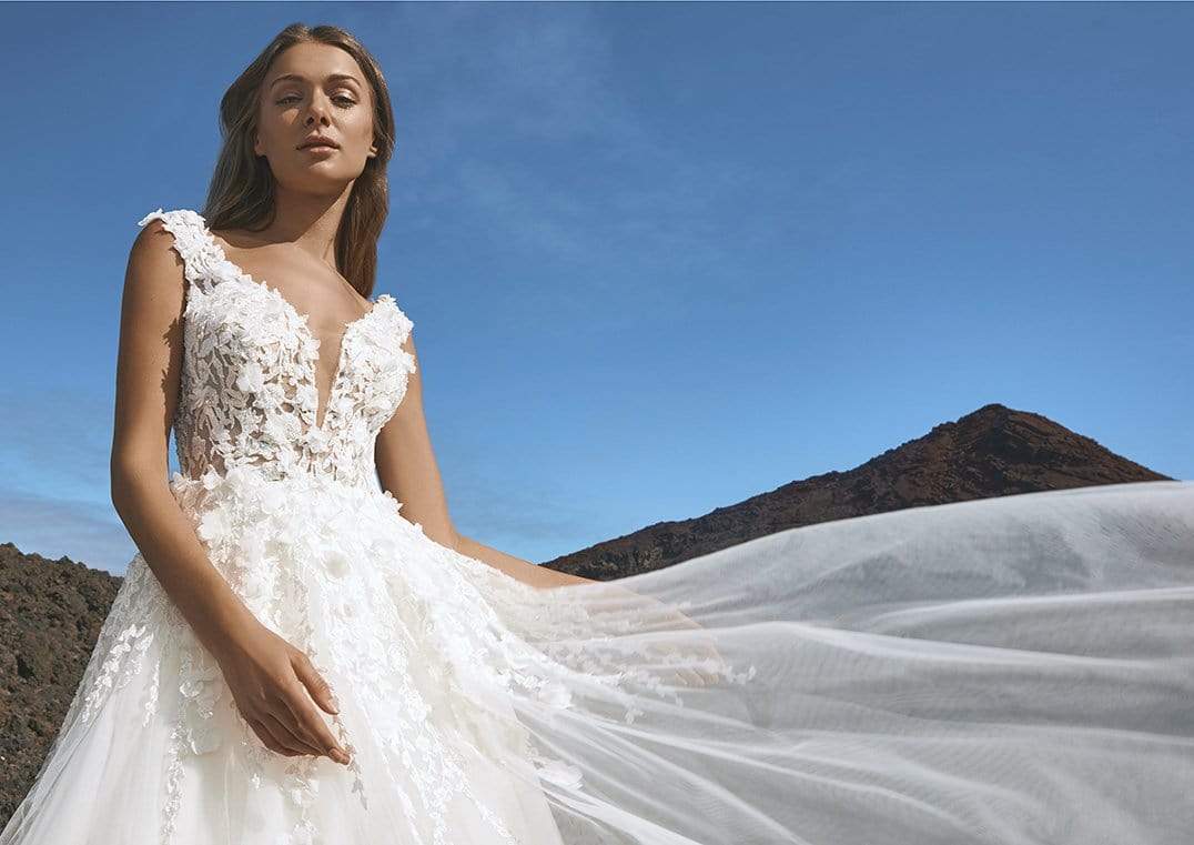Pronovias Wedding Dress Pronovias: Jeita