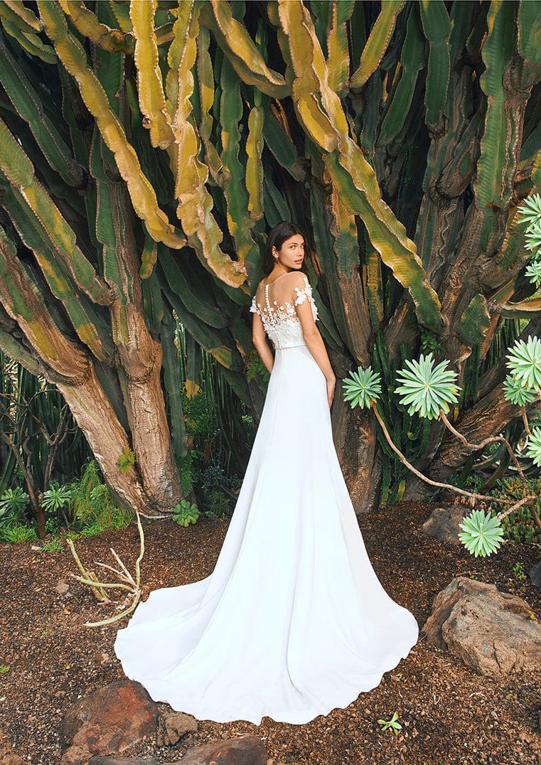 Pronovias Wedding Dress Pronovias: Masurian