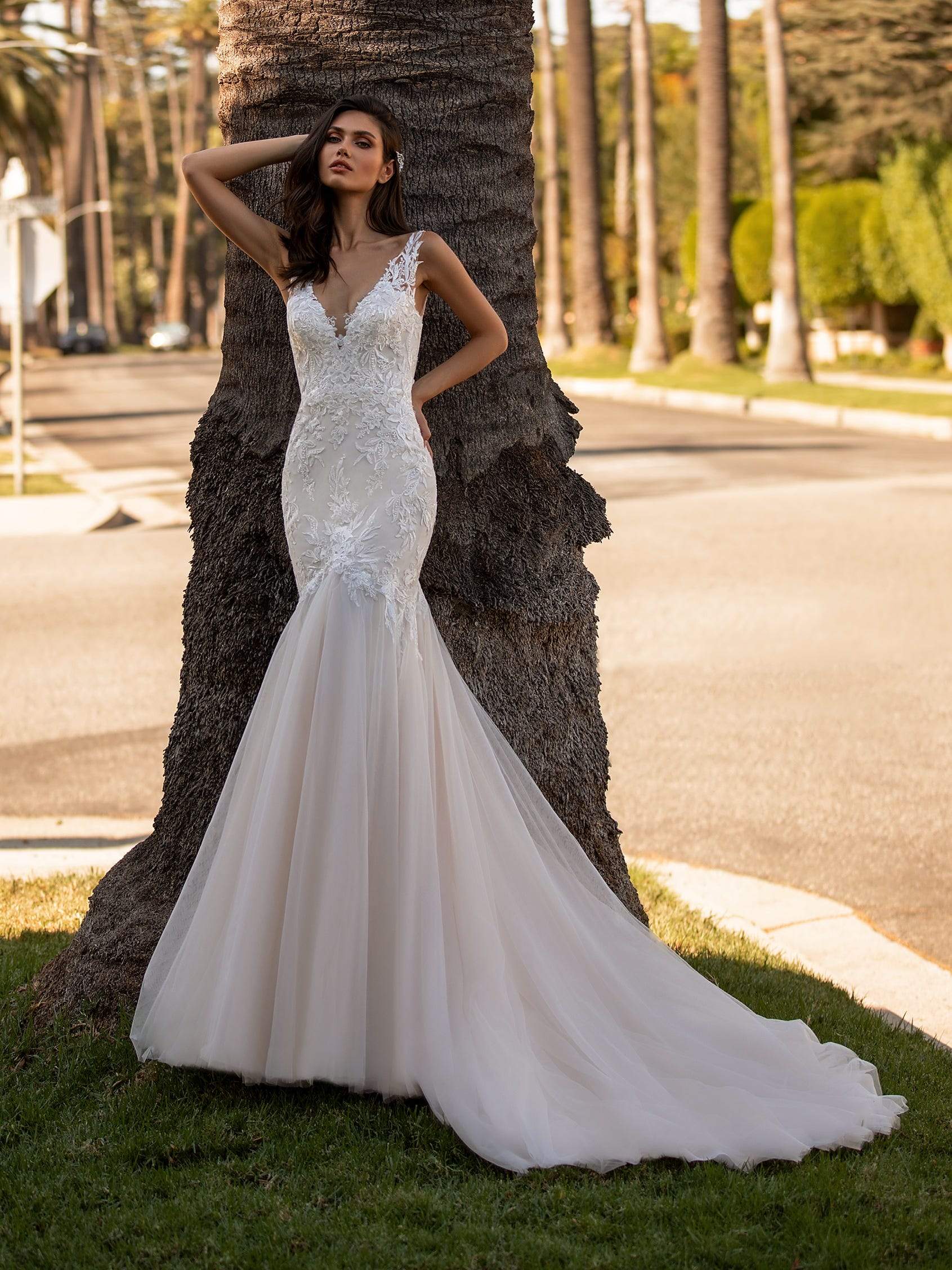 Pronovias Wedding Dress Pronovias: Scott
