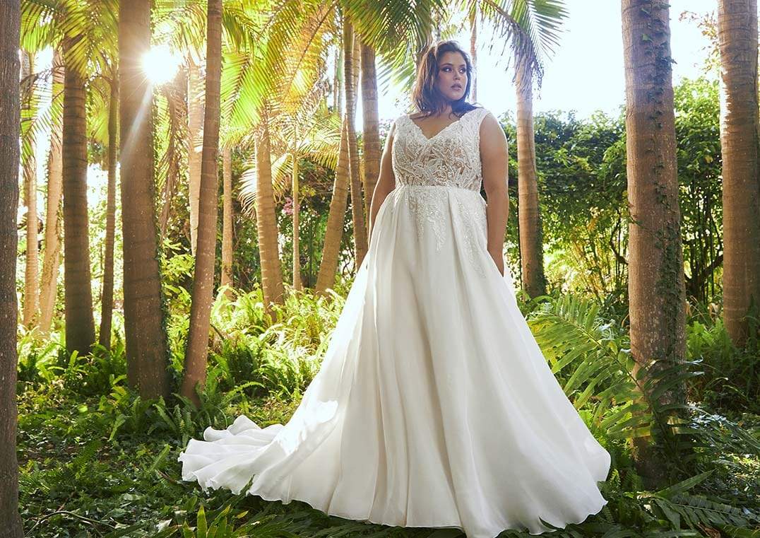 Pronovias Wedding Dress Pronovias: Shilin
