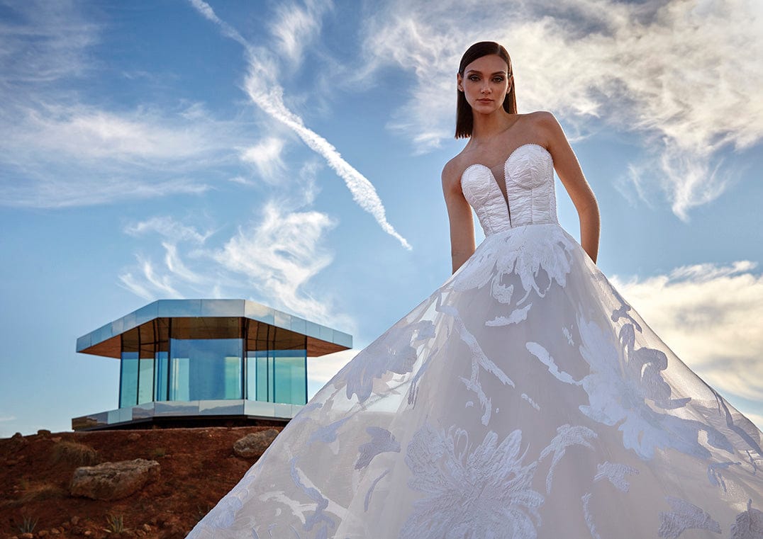 Pronovias Privee Wedding Dress Pronovias Privee: Arianell