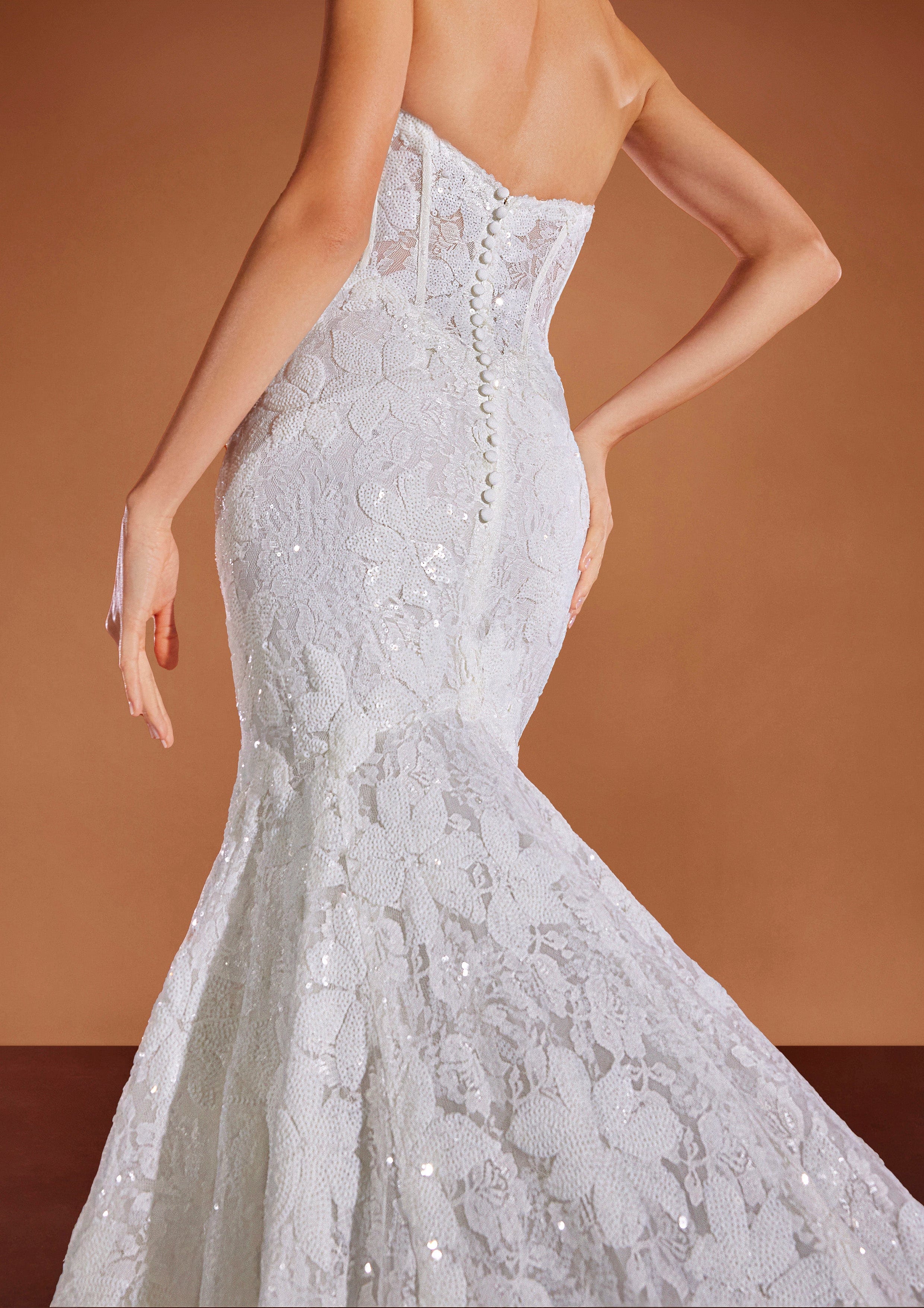 Pronovias Privee: Lavanya - Main Image