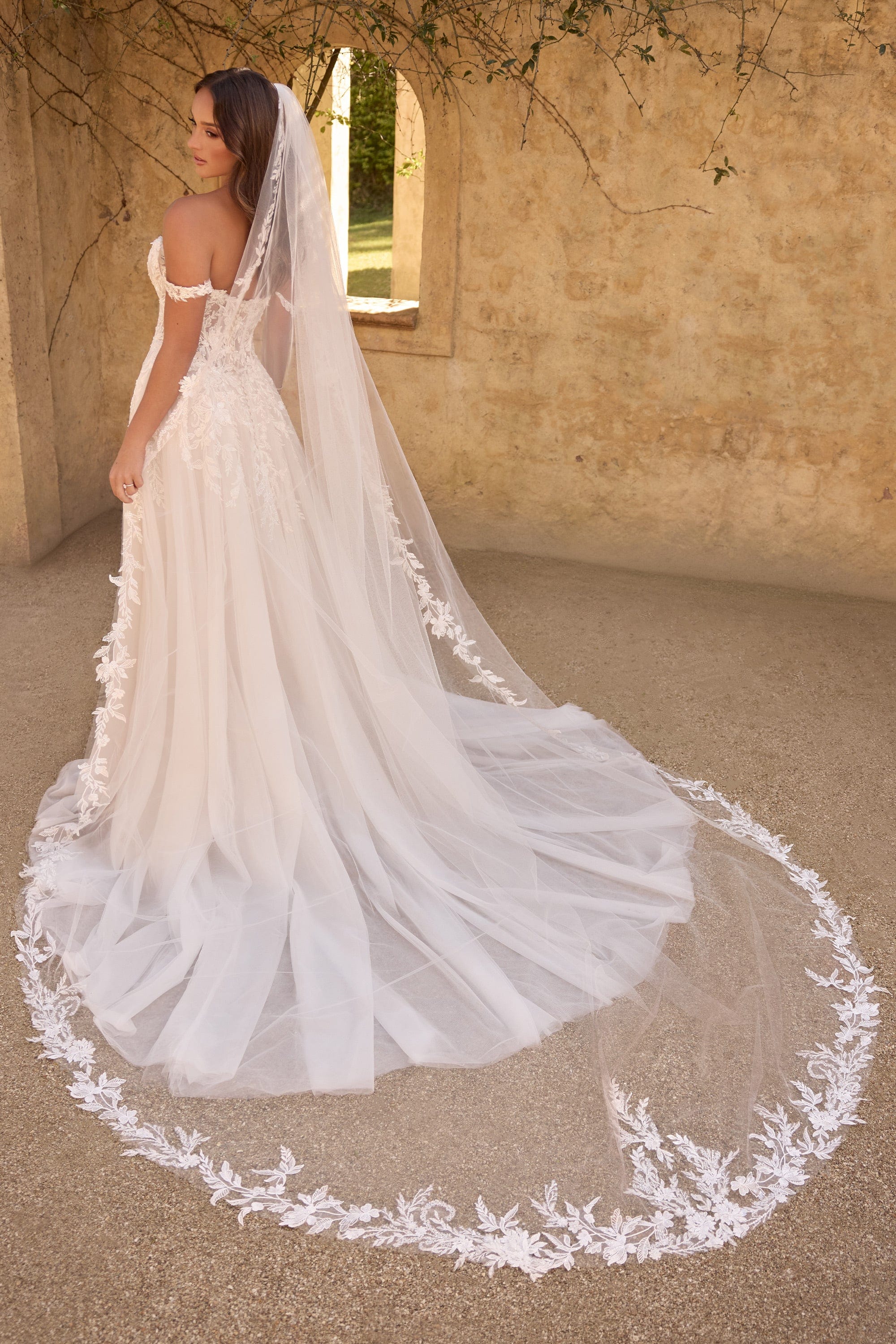 Sophia Tolli Accessories Sophia Tolli: Y3153VEIL