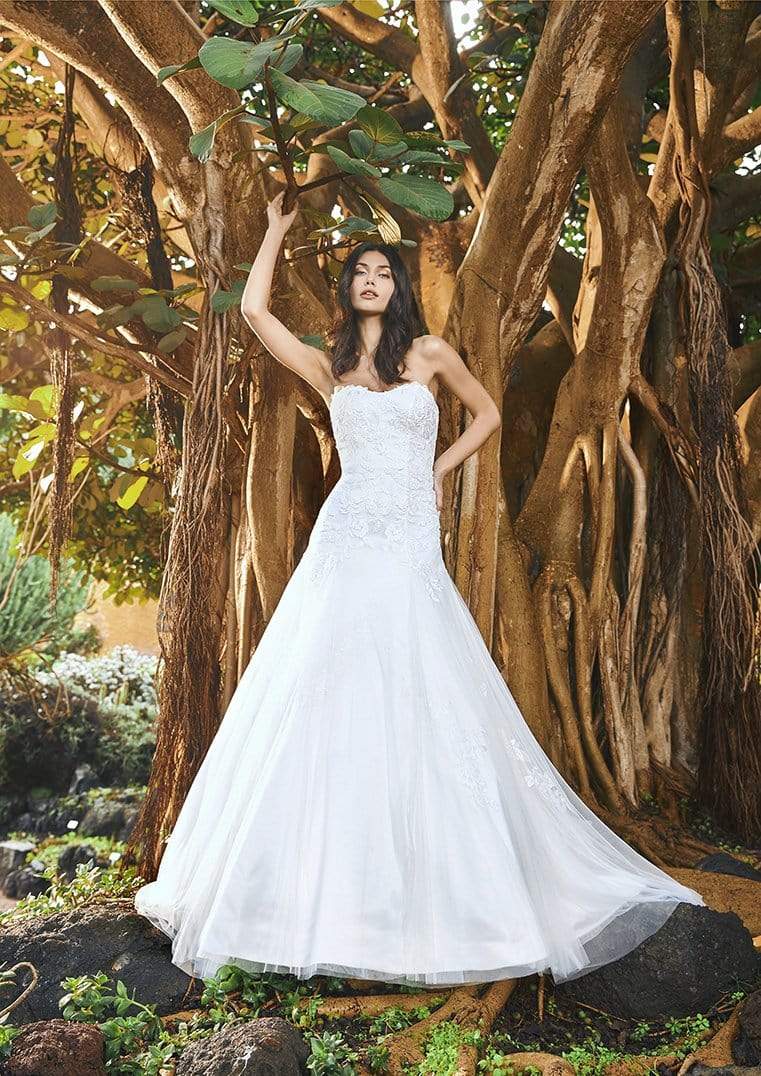 Pronovias Wedding Dress Pronovias: Ajanta