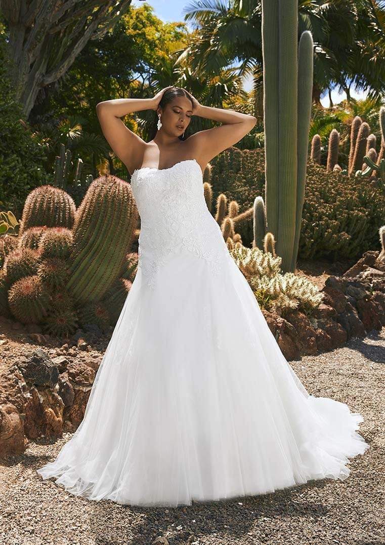Pronovias Wedding Dress Pronovias: Ajanta