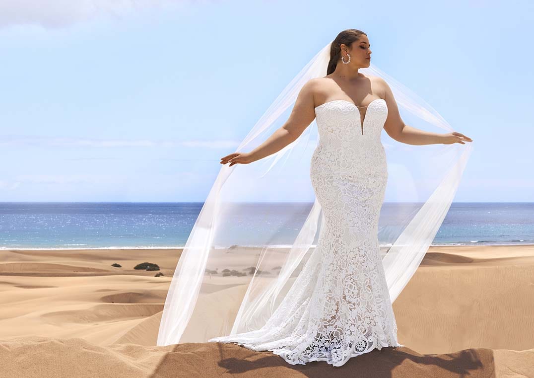 Pronovias Wedding Dress Pronovias: Hillier