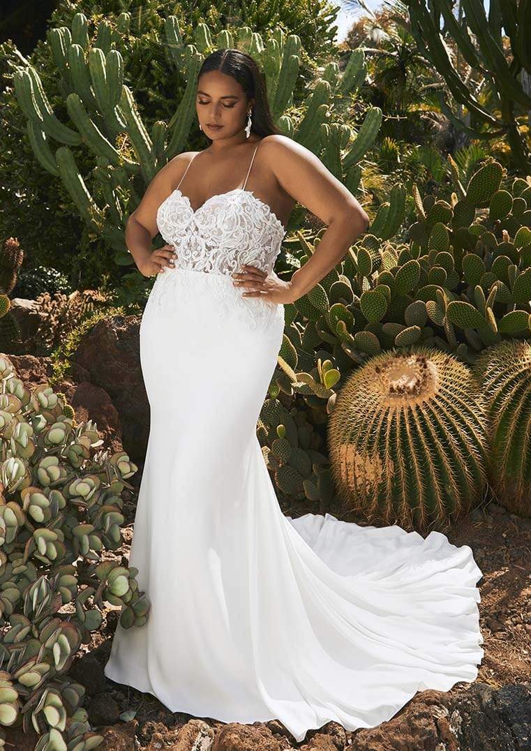 Pronovias xxl hot sale