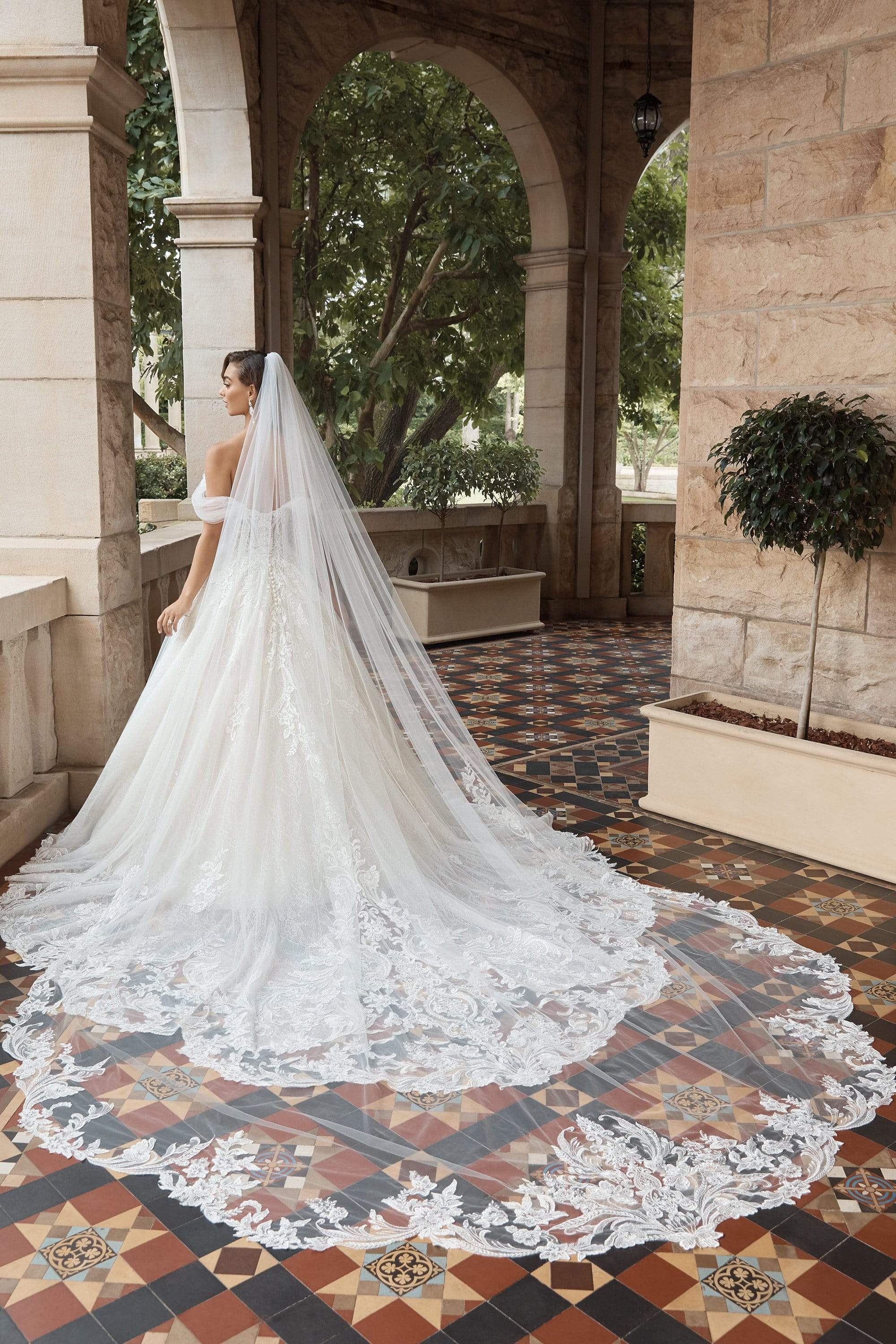 A line wedding top dress with veil